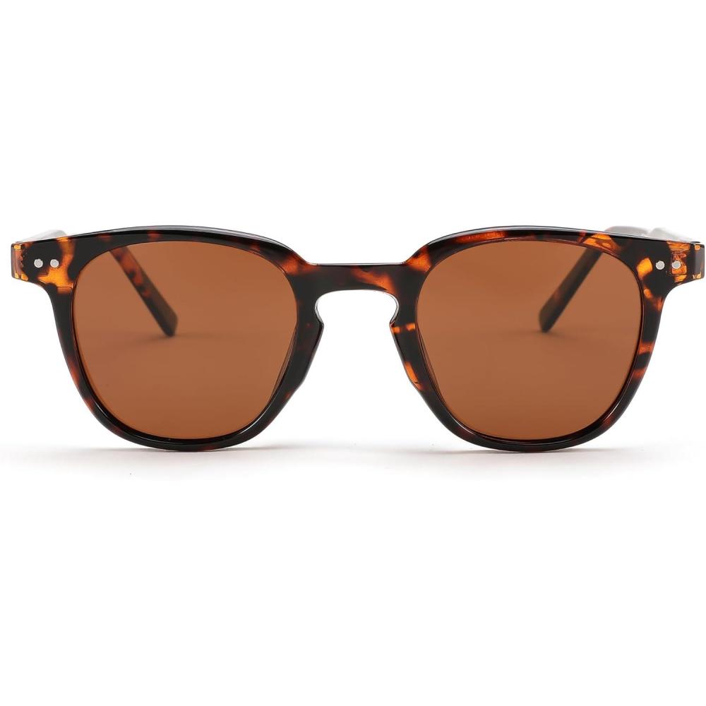 imageFEISEDY Classic Polarized Sunglasses Retro Round Sunglasses for Women Men Trendy Shades B0002002 Leopard FrameBrown Lens