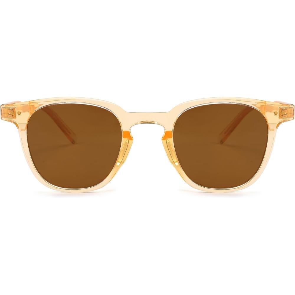 imageFEISEDY Classic Polarized Sunglasses Retro Round Sunglasses for Women Men Trendy Shades B0002003 Champagne FrameBrown Lens