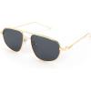002 Gold Frame/Gray Lens