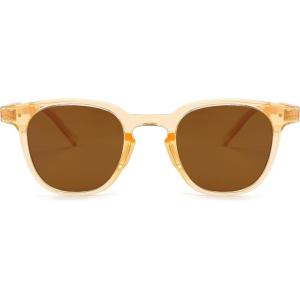 FEISEDY Classic Polarized Sunglasses Retro Round Sunglasses for Women Men Trendy Shades B0002(003 Champagne Frame/Brown Lens)