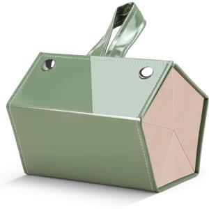 FEISEDY Sunglasses Organizer 5 Slots Travel Glasses Case,Hanging Eyewear Holder Fashionable PU Leather Eyeglass Case B0087(003 Green)