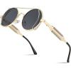 Gold Frame With Gray Lenses and Gold Temples