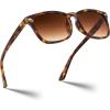 Tortoise Frame-gradient Tea Lens