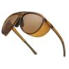 Brown Frame & Brown Lens