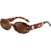 Leopard Frame Brown Lens