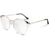 Transparent Frame Transparent Lens