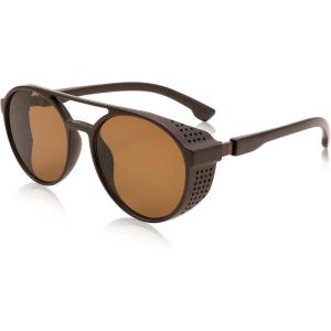 FEISEDY Classic Steampunk Sunglasses for Men Women Retro Round Gothic Shades Eyewear UV400 Protection B2957(Tea Lens)