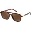 Tortoise Frame/Coffee Lens