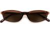 Brown Frame Brown Lens
