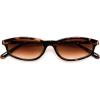 Tortoise Frame Brown Lens